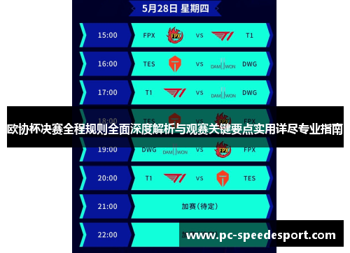 欧协杯决赛全程规则全面深度解析与观赛关键要点实用详尽专业指南