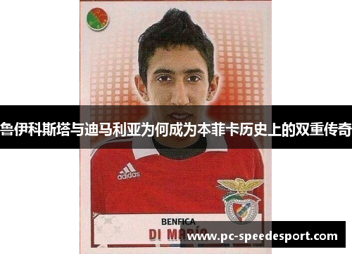 鲁伊科斯塔与迪马利亚为何成为本菲卡历史上的双重传奇